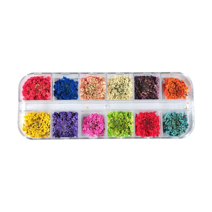 Bell'ure Gedroogde Bloempjes voor nailart, Zachte pastels, nude bases en transparante designs met echte bloemetjes zorgen voor een frisse, natuurlijke uitstraling die perfect aansluit bij moderne salontrends.