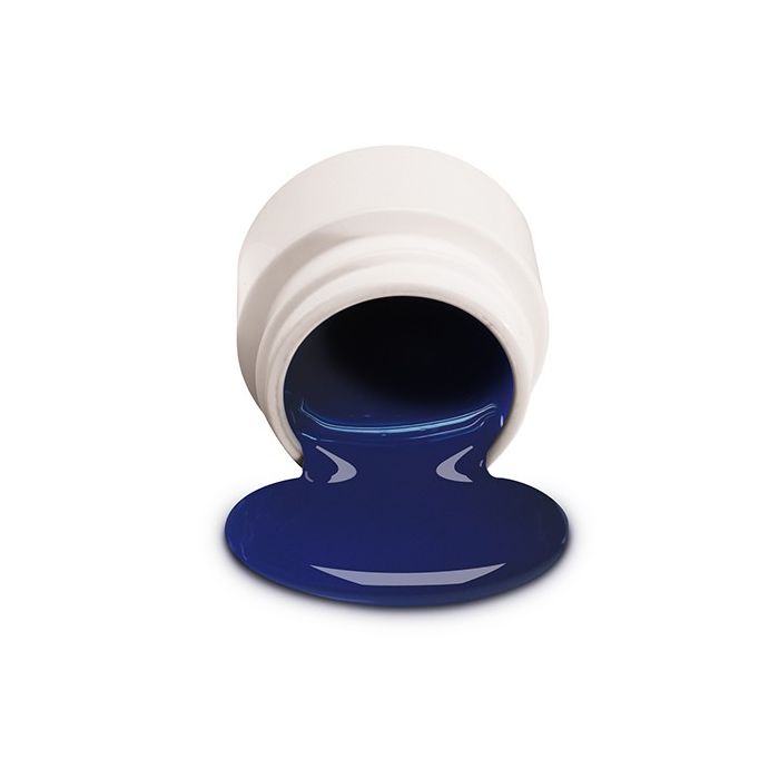NSI Blueberry