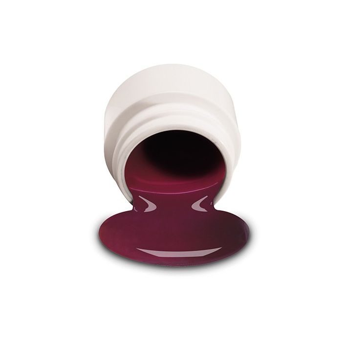 NSI Raspberry