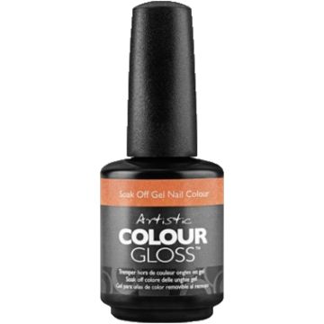 Artistic Colour Gloss You're Not Glistening