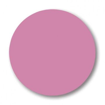 NSI Color Acryl Powder Plum 7g