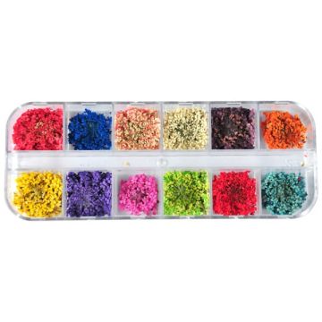 Bell'ure Gedroogde Bloempjes voor nailart, Zachte pastels, nude bases en transparante designs met echte bloemetjes zorgen voor een frisse, natuurlijke uitstraling die perfect aansluit bij moderne salontrends.