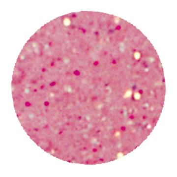 EzFlow Color Acryl Glitter Powder Disco Inferno 28g