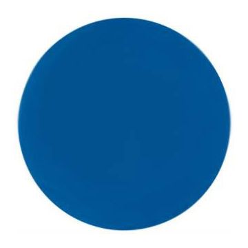 NSI  Color Acryl Powder Disco 7g