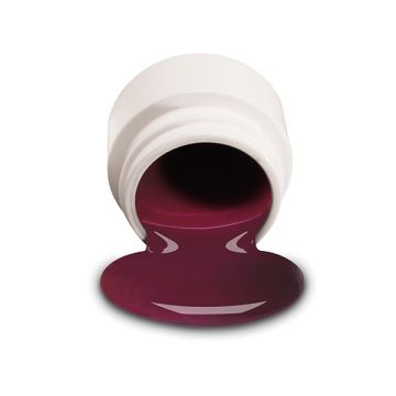 NSI Raspberry