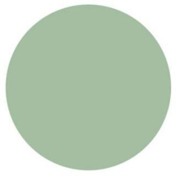 NSI Color Acryl Powder Sea Foam Green 7g