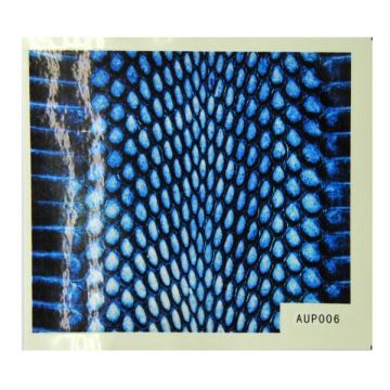 Water Decals Slange Print (blauw-zwart)
